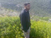 malek.jpg